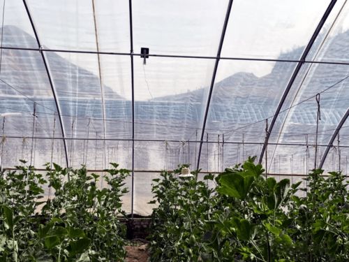 陜西首個(gè)數(shù)字鄉(xiāng)鎮(zhèn)示范村驗(yàn)收成功，物聯(lián)網(wǎng)技術(shù)點(diǎn)亮智慧鄉(xiāng)村新圖景